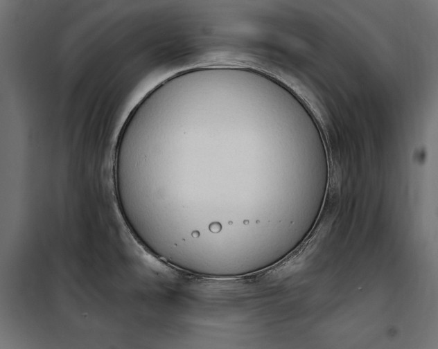 X0000100331486200806191056