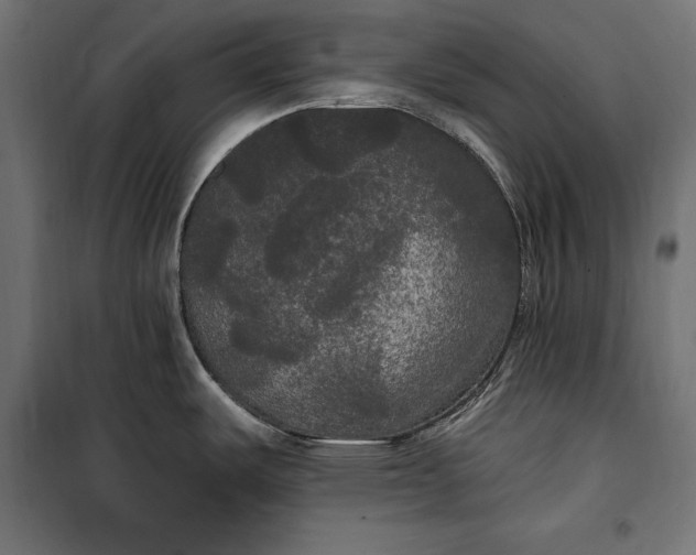 X0000100331487200806191056