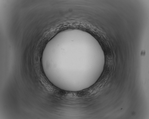 X0000100331489200806191055