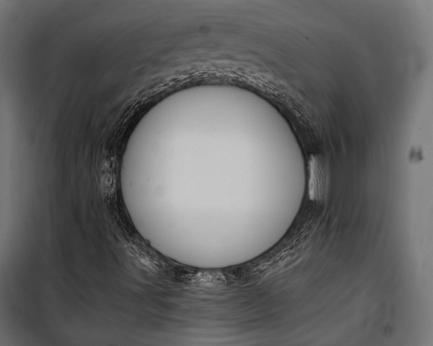 X0000100331491200806191055