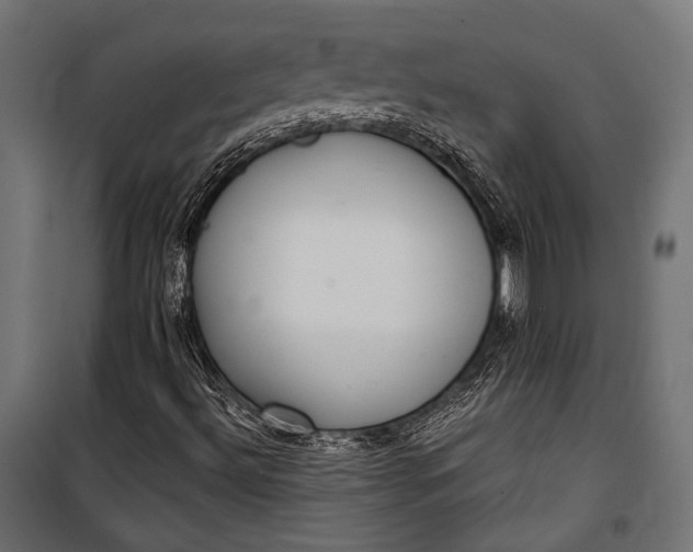 X0000100331492200806191055