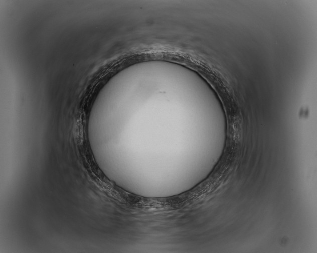 X0000100331493200806191055