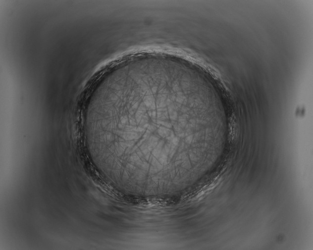 X0000100331494200806191055