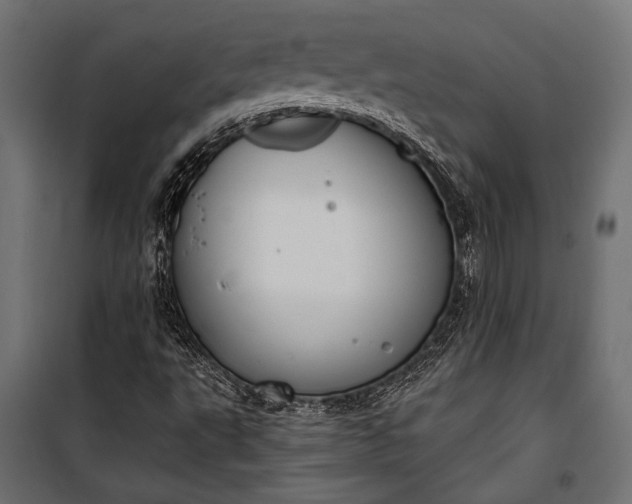 X0000100331495200806191055