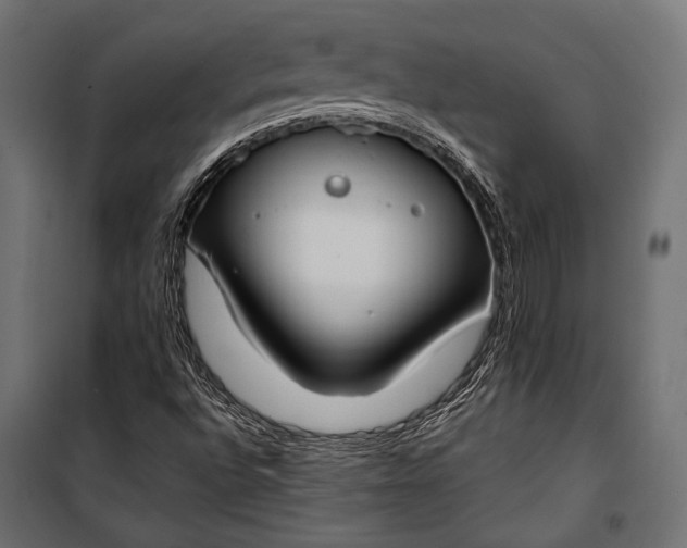 X0000100331496200806191055