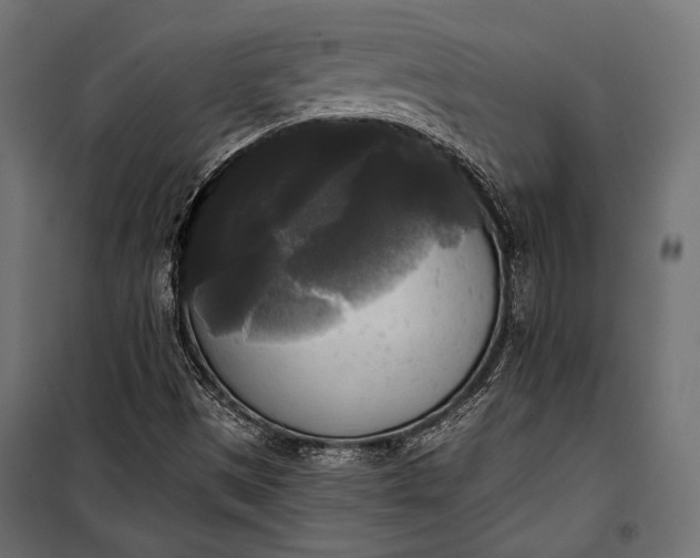 X0000100331497200806191055