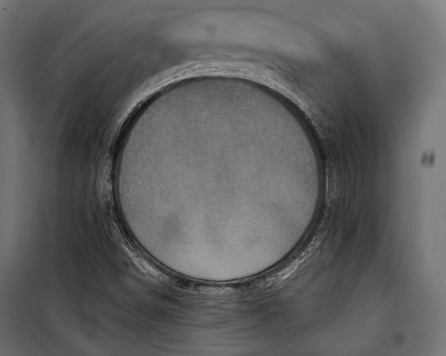 X0000100331498200806191055