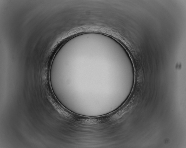 X0000100331499200806191055