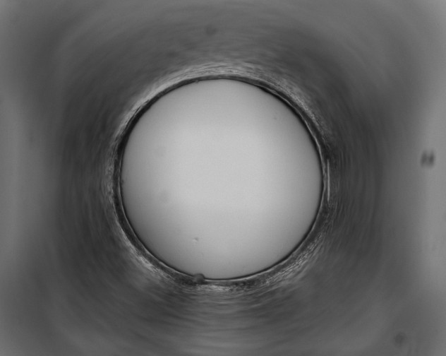 X0000100331500200806191055