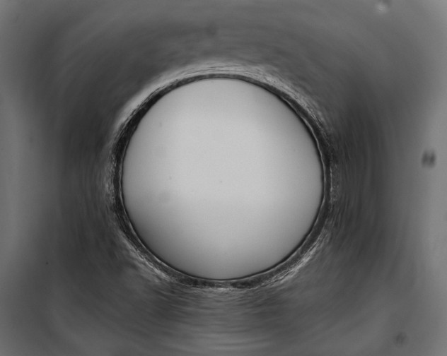 X0000100331502200806191055