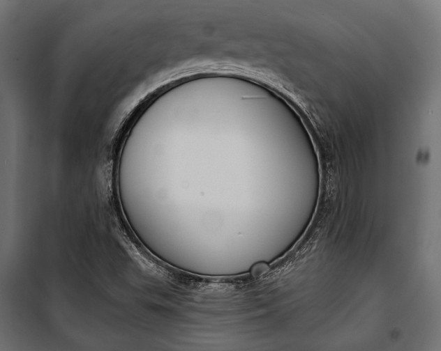 X0000100331503200806191055