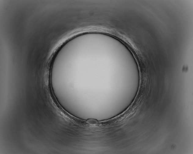 X0000100331504200806191055