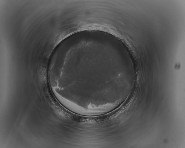 X0000100331505200806191055