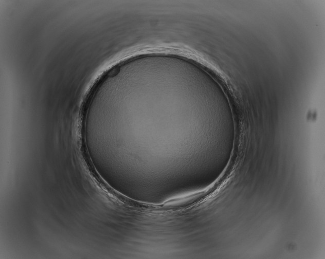 X0000100331506200806191055