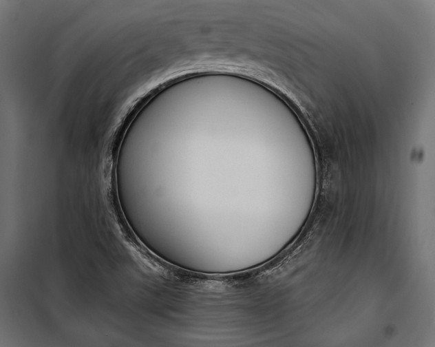 X0000100331507200806191055