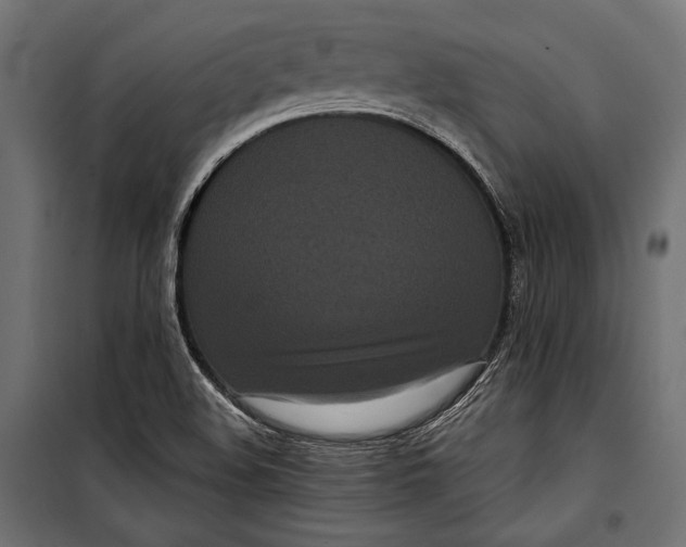 X0000100331508200806191055