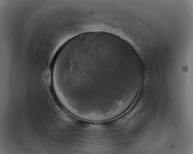 X0000100331509200806191055