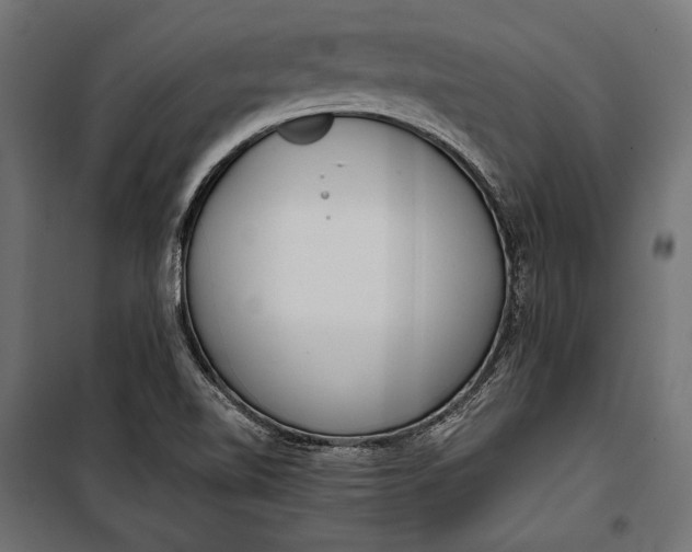 X0000100331510200806191055