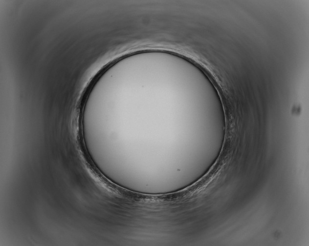 X0000100331511200806191055