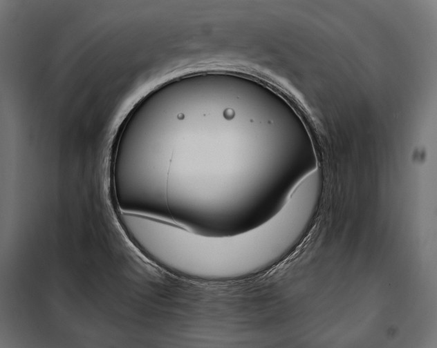 X0000100331512200806191055