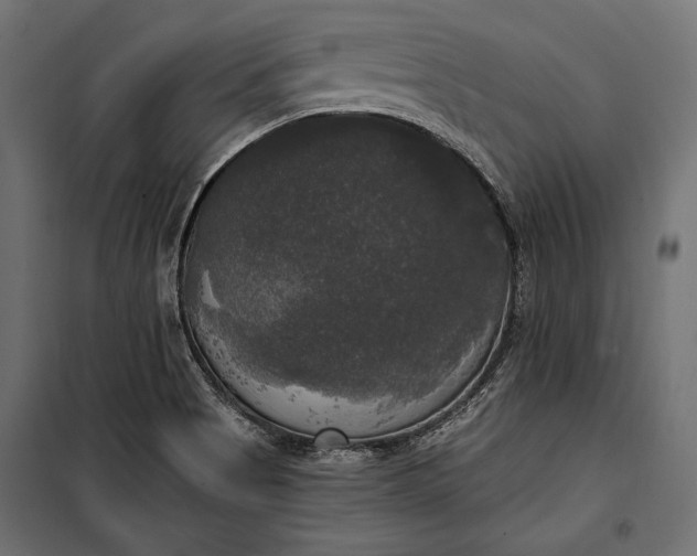 X0000100331513200806191055