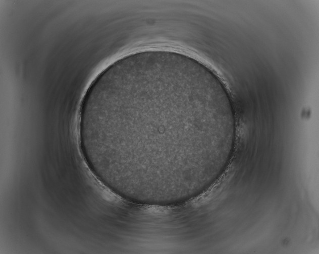 X0000100331514200806191055