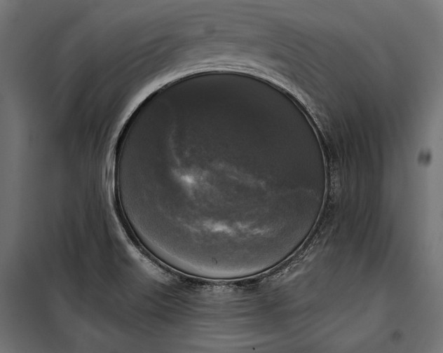 X0000100331515200806191055