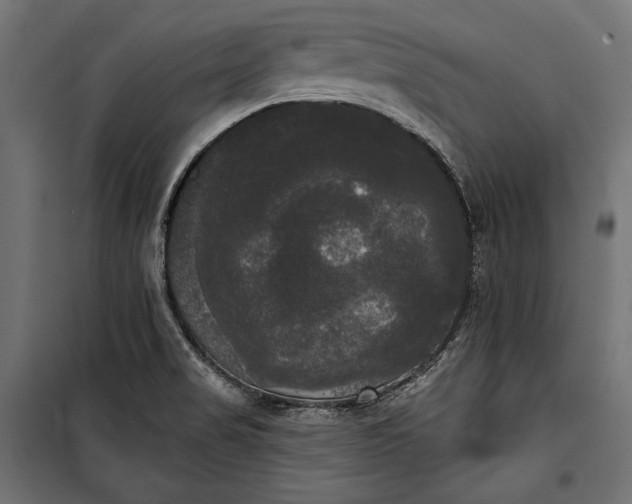 X0000100331517200806191055