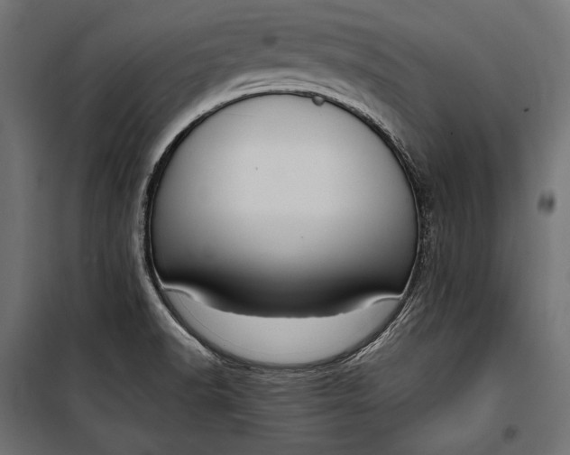 X0000100331518200806191055