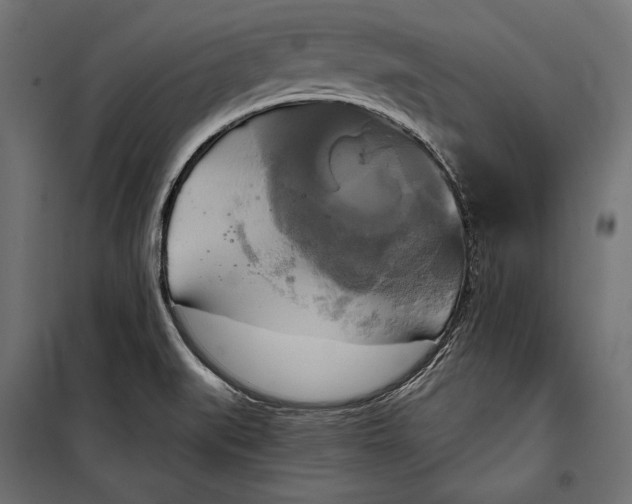 X0000100331519200806191055