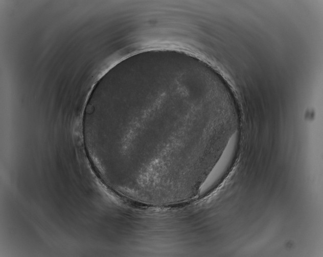 X0000100331521200806191055