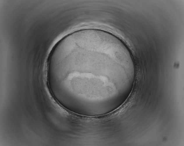 X0000100331522200806191055