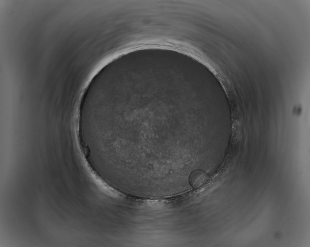 X0000100331523200806191055