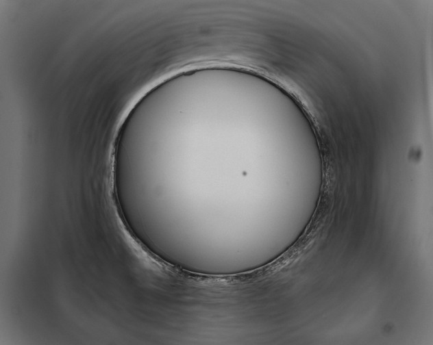 X0000100331524200806191055