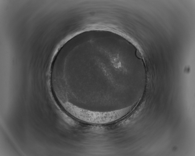 X0000100331525200806191056