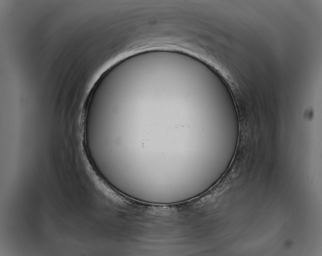 X0000100331526200806191056