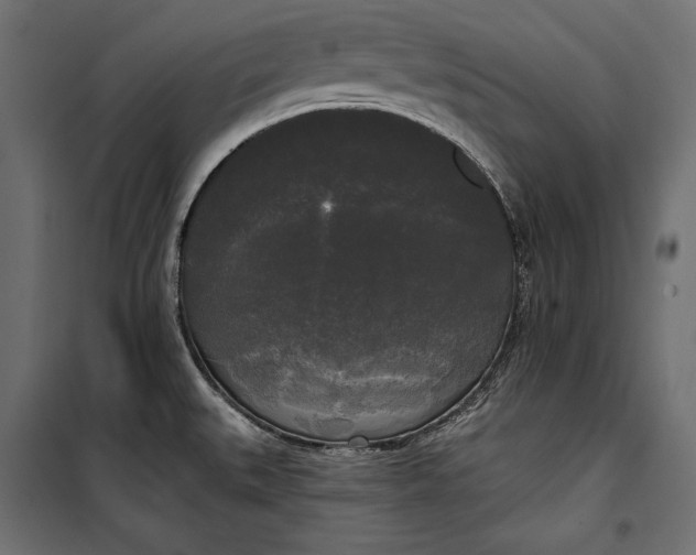 X0000100331527200806191056