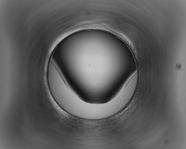 X0000100331528200806191056