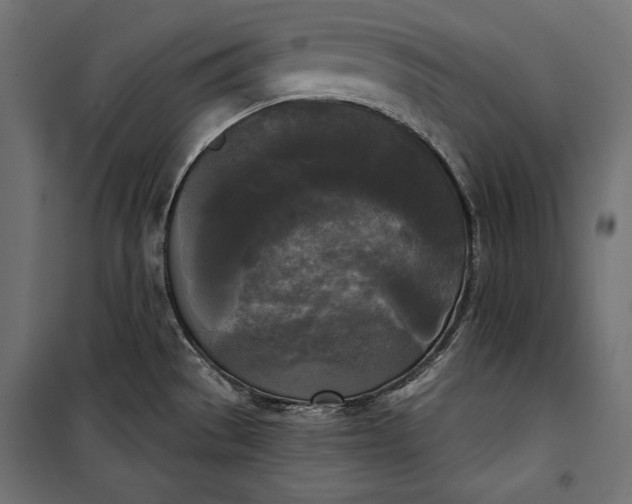 X0000100331529200806191056