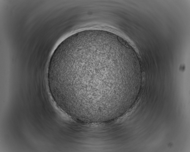 X0000100331530200806191056