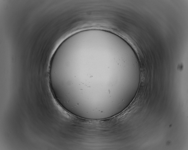 X0000100331532200806191056