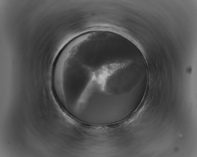 X0000100331533200806191056