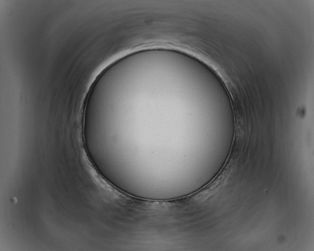 X0000100331534200806191056