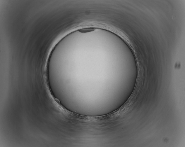 X0000100331536200806191056