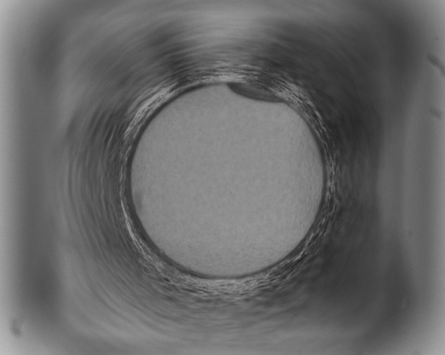 X0000100330001200806261313