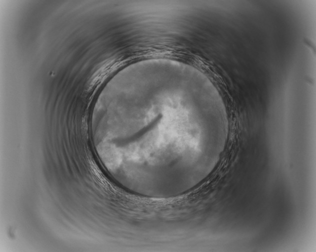 X0000100330002200806261313