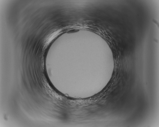 X0000100330005200806261313