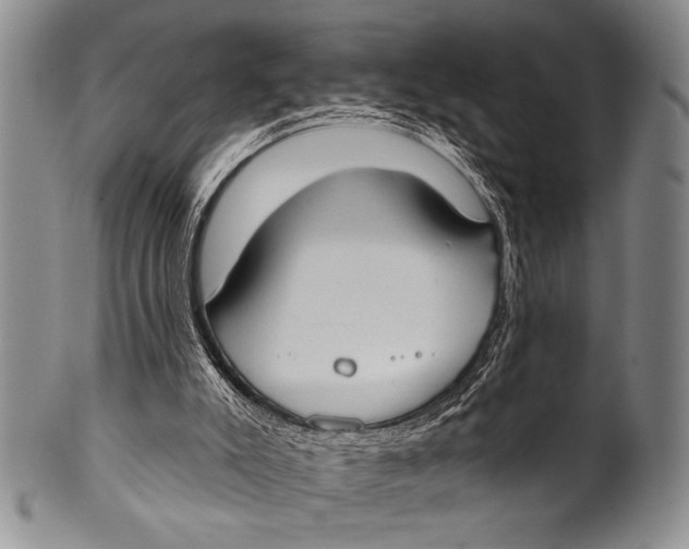 X0000100330007200806261313