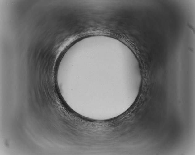 X0000100330008200806261313