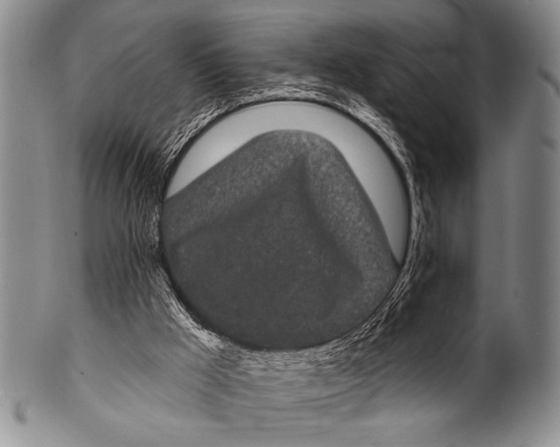 X0000100330009200806261313